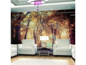 Wall Coverings