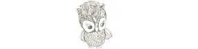 Wise Owl Shop