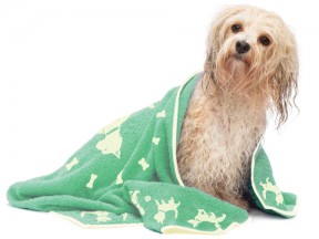 Happy Dog Eco Dog Towel