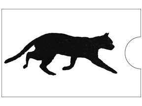 3D ANIMATED CARD CASE