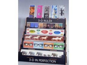 3-D RULER