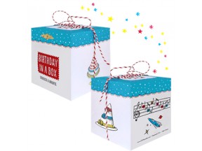 Birthday in a Box