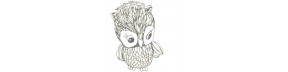 Wise Owl Shop