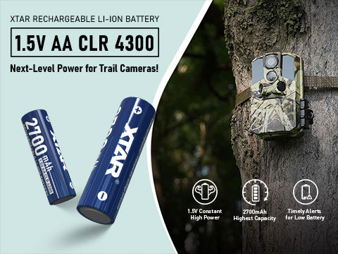 XTAR AA CLR 4300