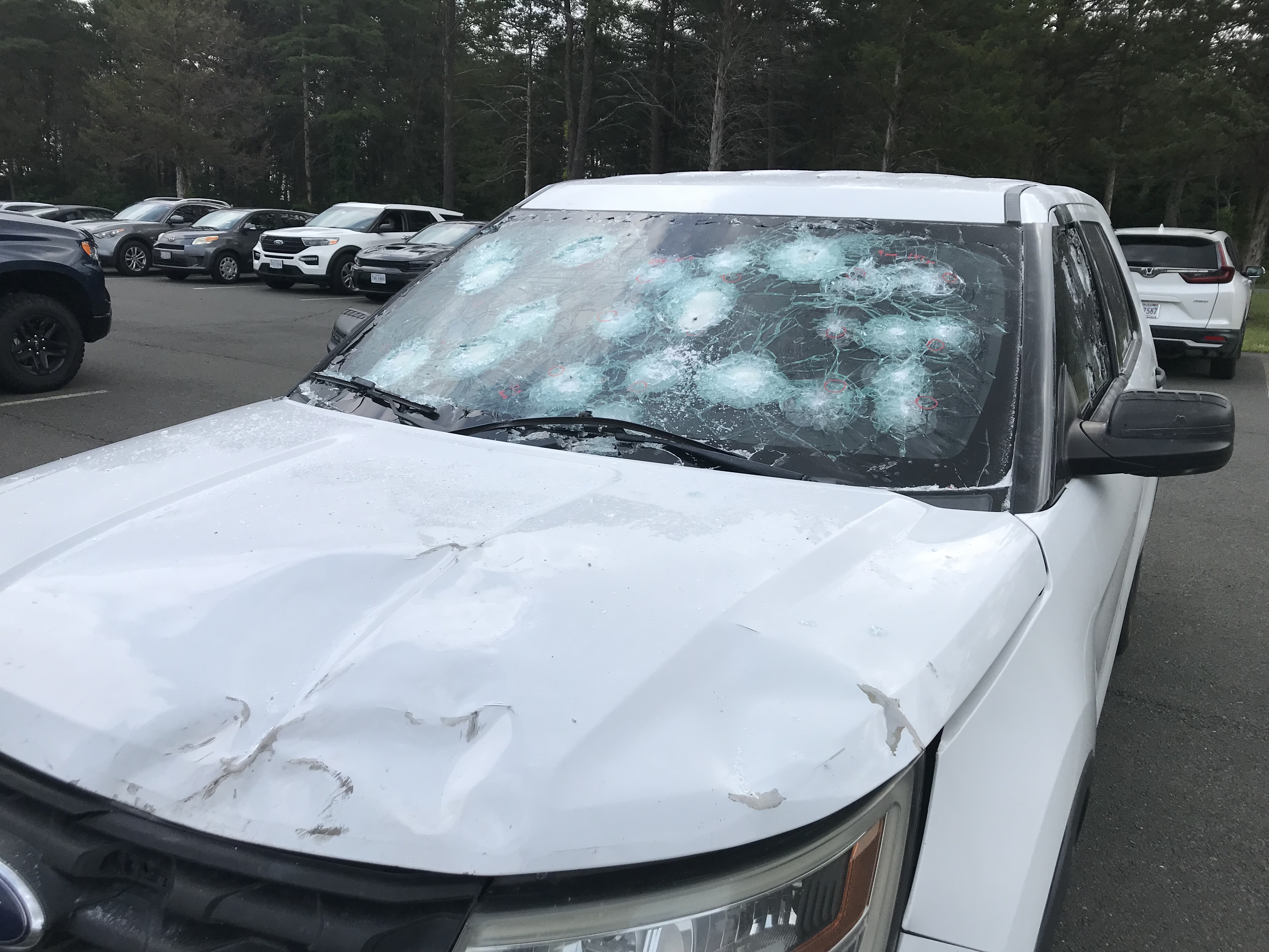 OptiShield Tactical Transparent Armor