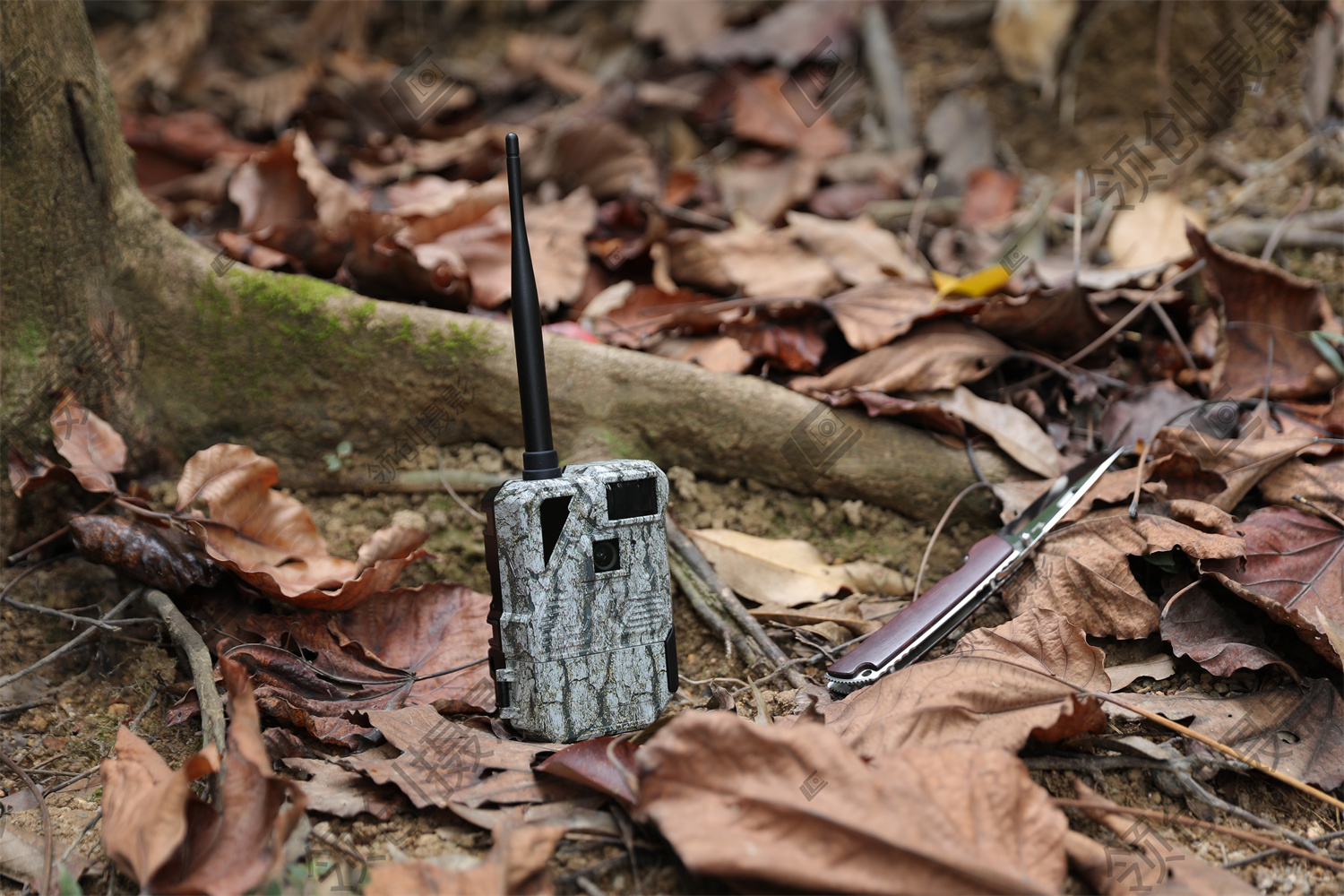 cellular trail camera