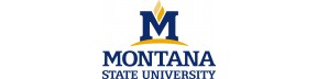 Montana State University