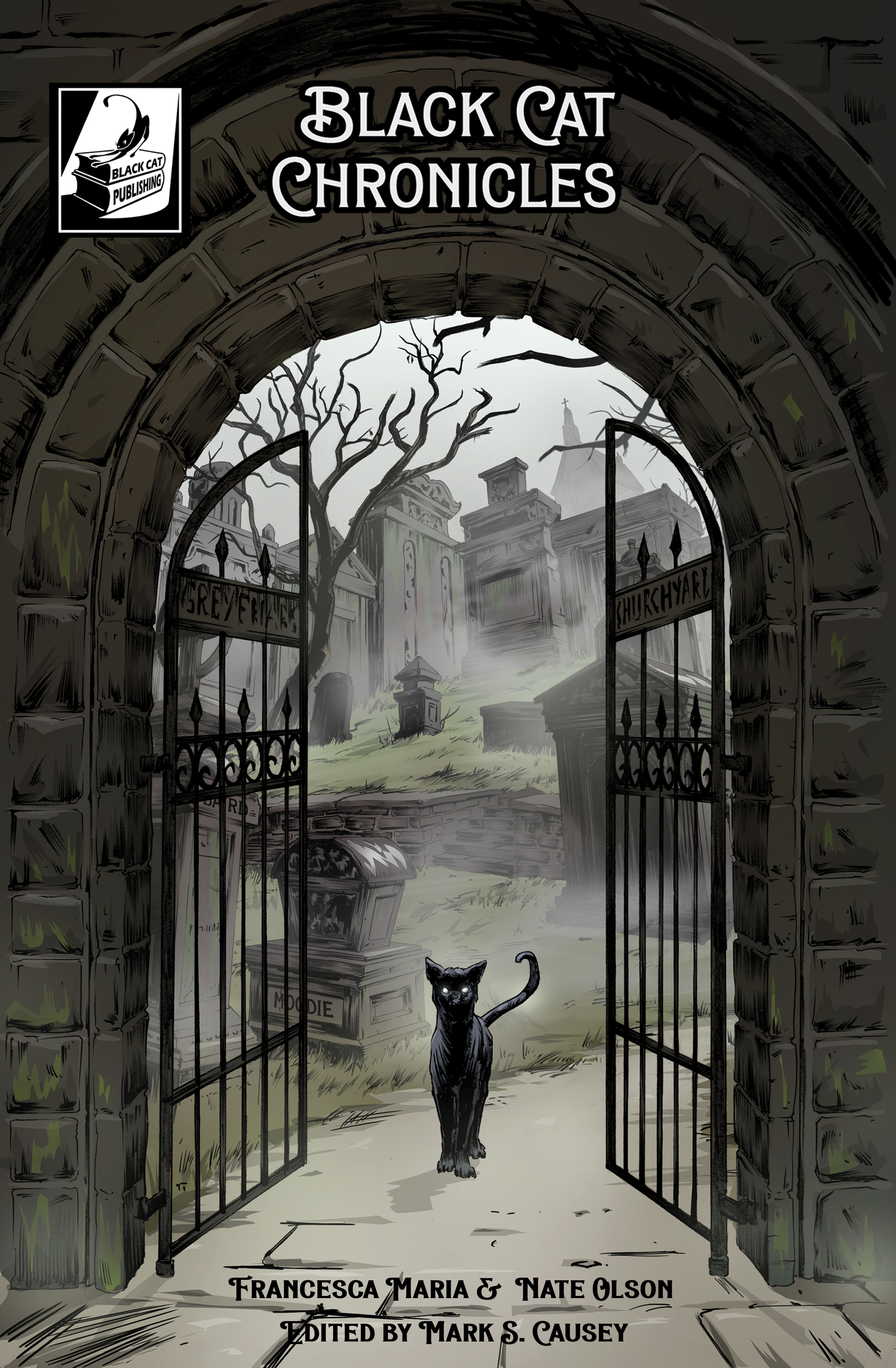 Black Cat Chronicles Comic Book Series