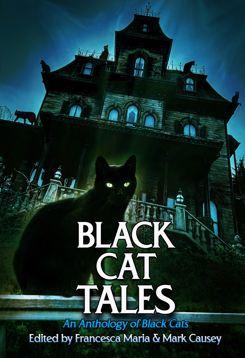 Black Cat Tales: An Anthology of Black Cats